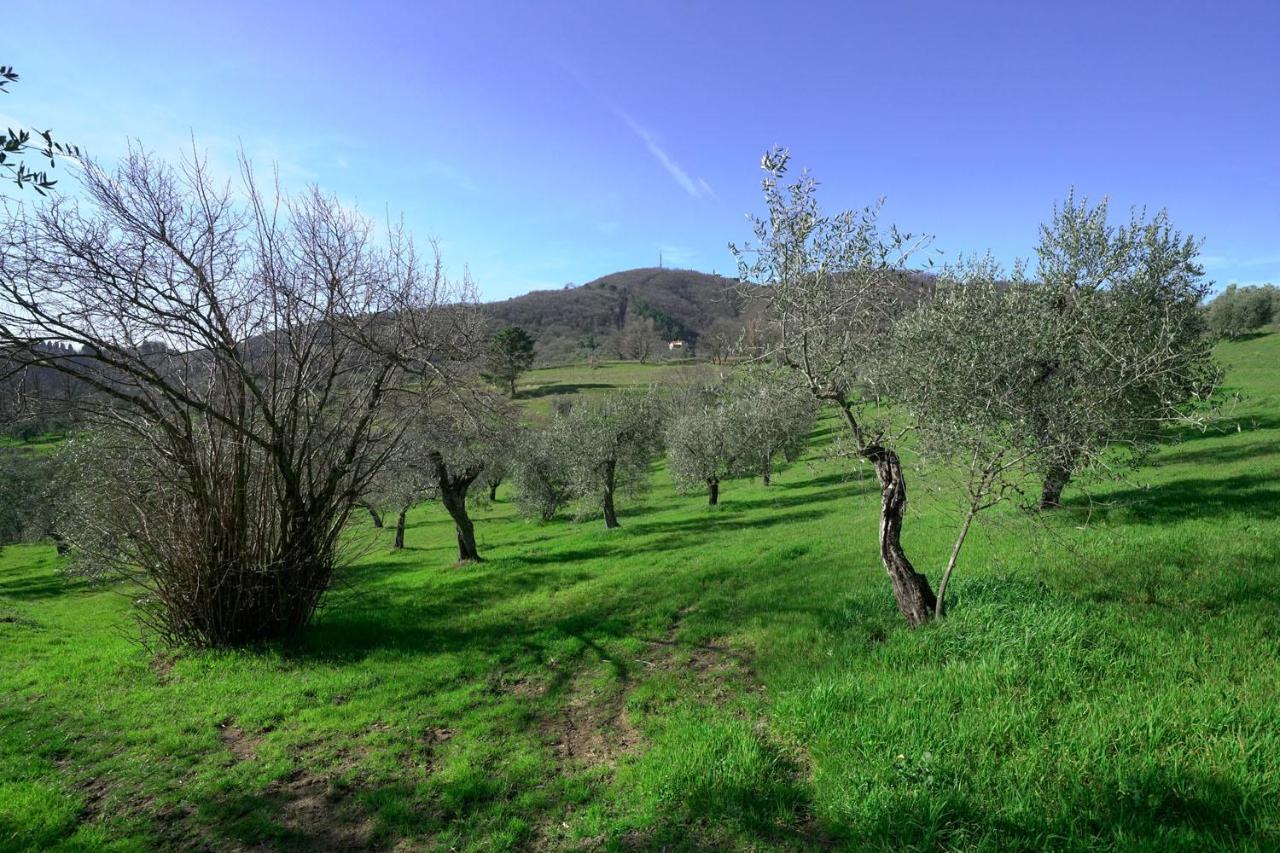 Il Podere La Casina Monsummano Terme Exterior foto